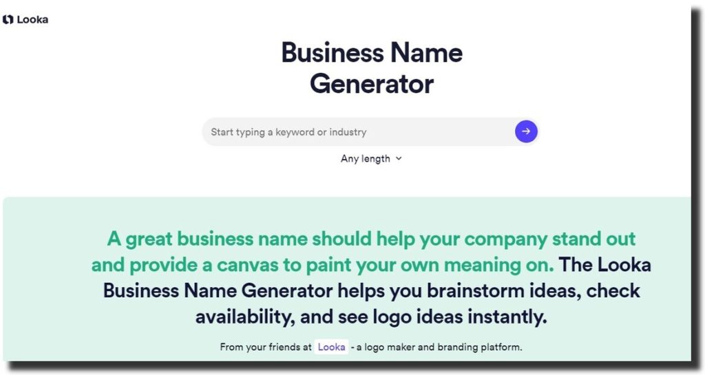 Looka Business name generator